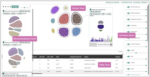 Geono-Cluster: Interactive Visual Cluster Analysis for Biologists