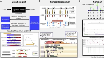 Human-Centered Explainability For Life Sciences, Healthcare, And Medical Informatics featured image