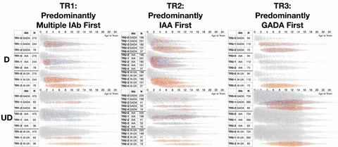 Islet Autoantibody Levels Differentiate Progression Trajectories in Individuals With Presymptomatic Type 1 Diabetes