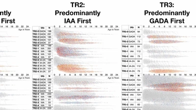 Islet Autoantibody Levels Differentiate Progression Trajectories in Individuals With Presymptomatic Type 1 Diabetes featured image