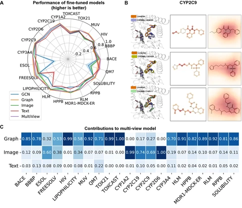 Multi-view biomedical foundation models for molecule-target and property prediction
