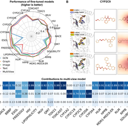 Multi-view biomedical foundation models for molecule-target and property prediction