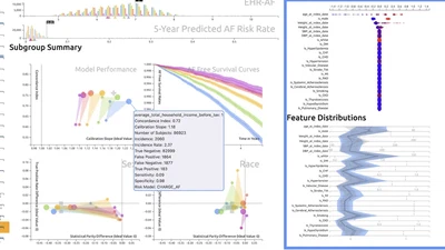 RMExplorer: A Visual Analytics Approach to Explore the Performance and the Fairness of Disease Risk Models on Population Subgroups featured image