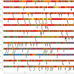 Evaluating the Role of Time in Investigative Analysis of Document Collections