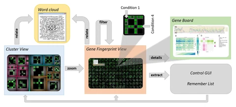VisExpress: Visual exploration of differential gene expression data