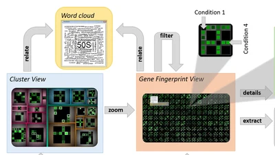 VisExpress: Visual exploration of differential gene expression data featured image